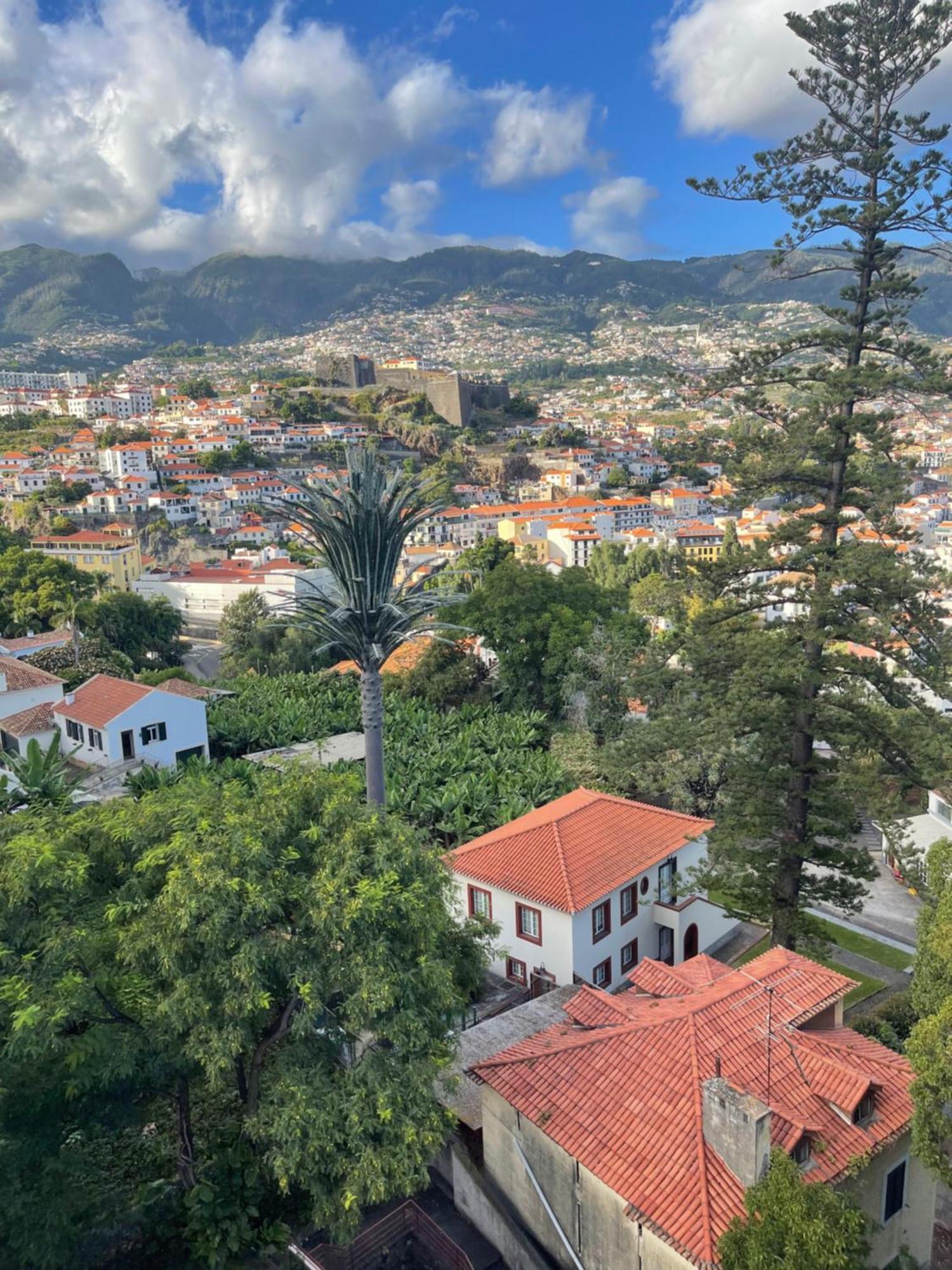 In Town View Apartment Funchal  Ngoại thất bức ảnh