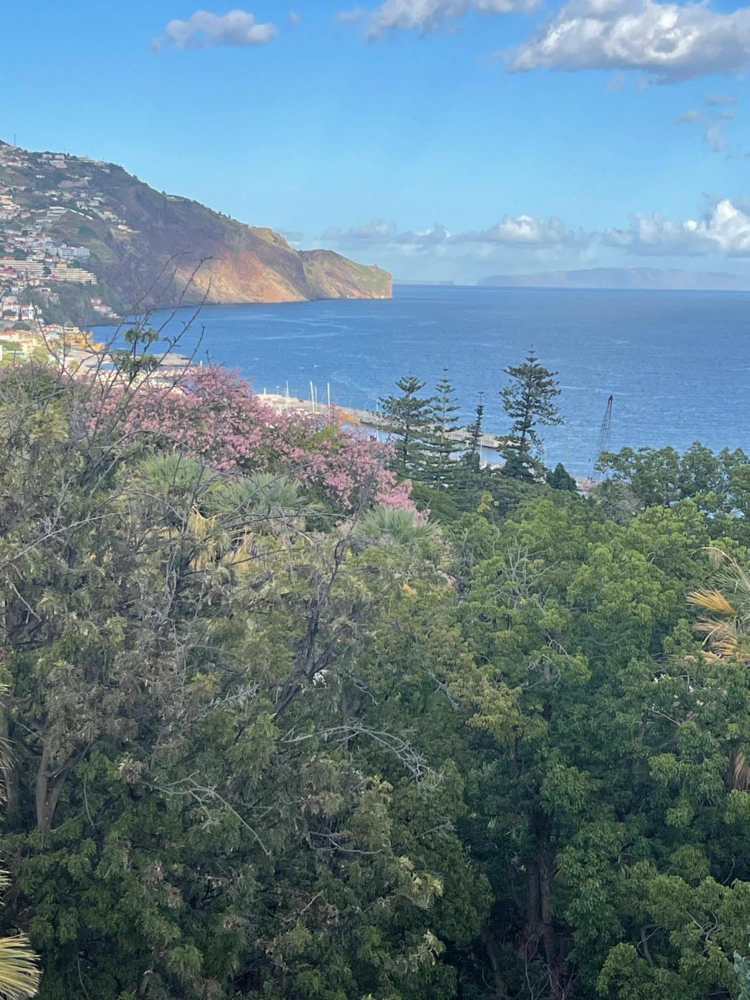 In Town View Apartment Funchal  Ngoại thất bức ảnh